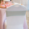 Stretch Chair Sash Silver 10/Pack