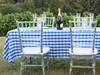 60 X 102 in. Rectangular Tablecloth Blue & White Checkered