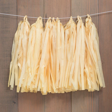 Pastel Tissue Paper Tassel (4 Colors)