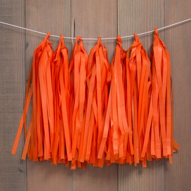 Pastel Tissue Paper Tassel (4 Colors)