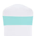 Stretch Chair Sash Turquoise 10/Pack